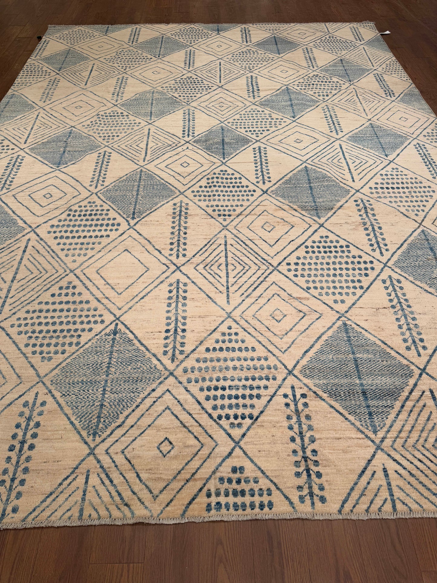 Moroccan NJ2965 - 9.9 x 13.5