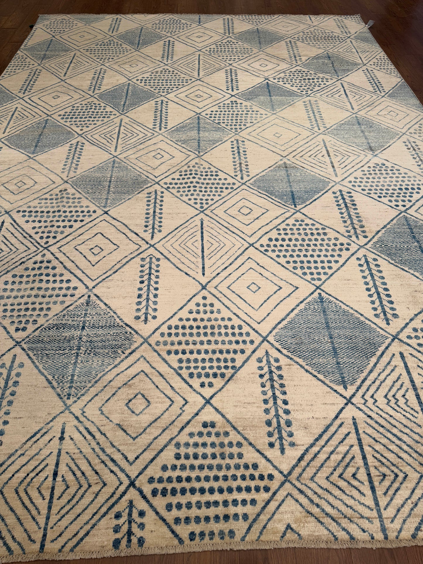 Moroccan NJ2982 - 9.7 x 13.7