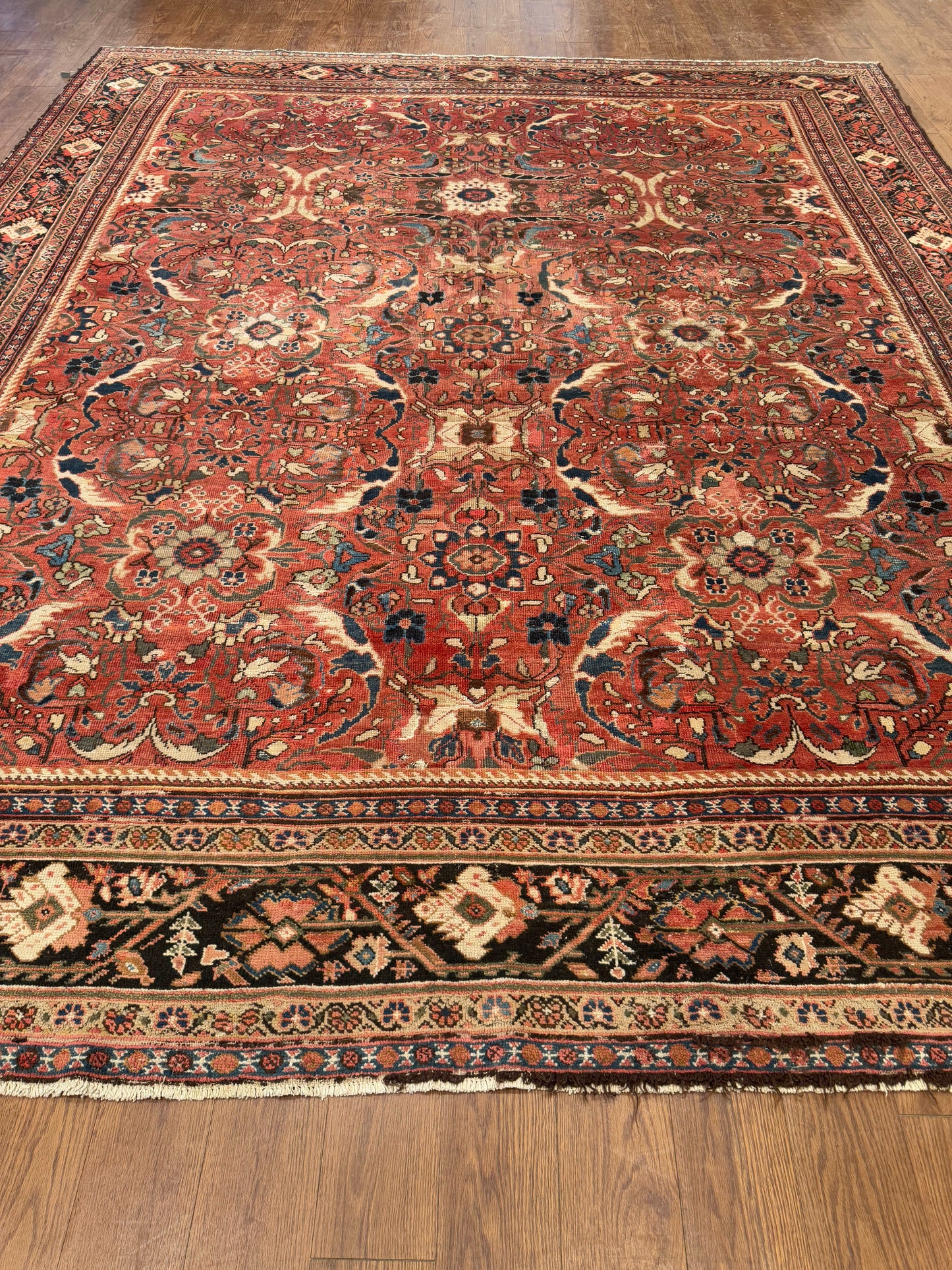 Herati NJ7114 - 10.7 x 13.1
