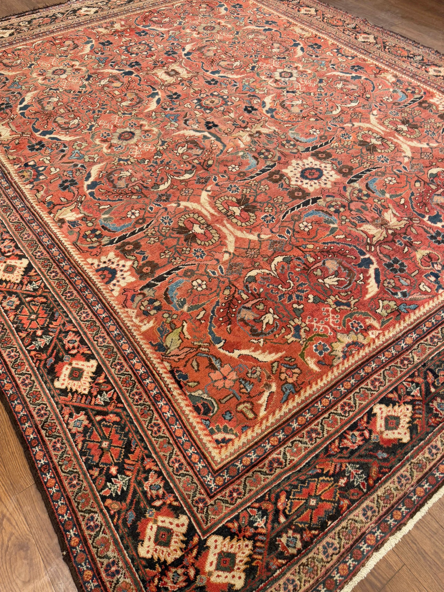 Herati NJ7114 - 10.7 x 13.1