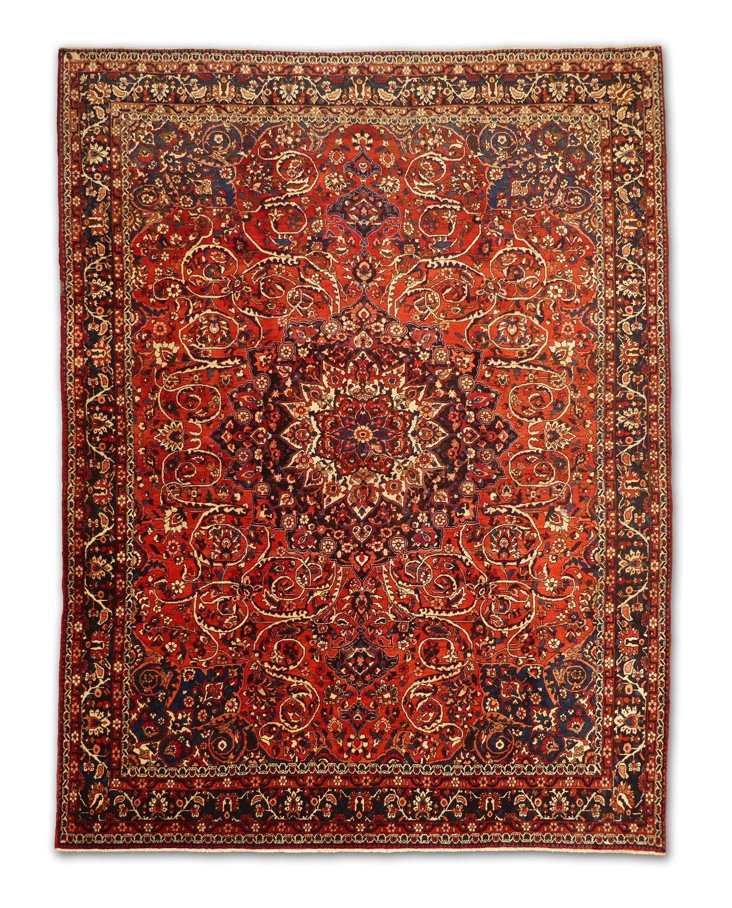Kashan NJ7140 - 9.10 x 12.8