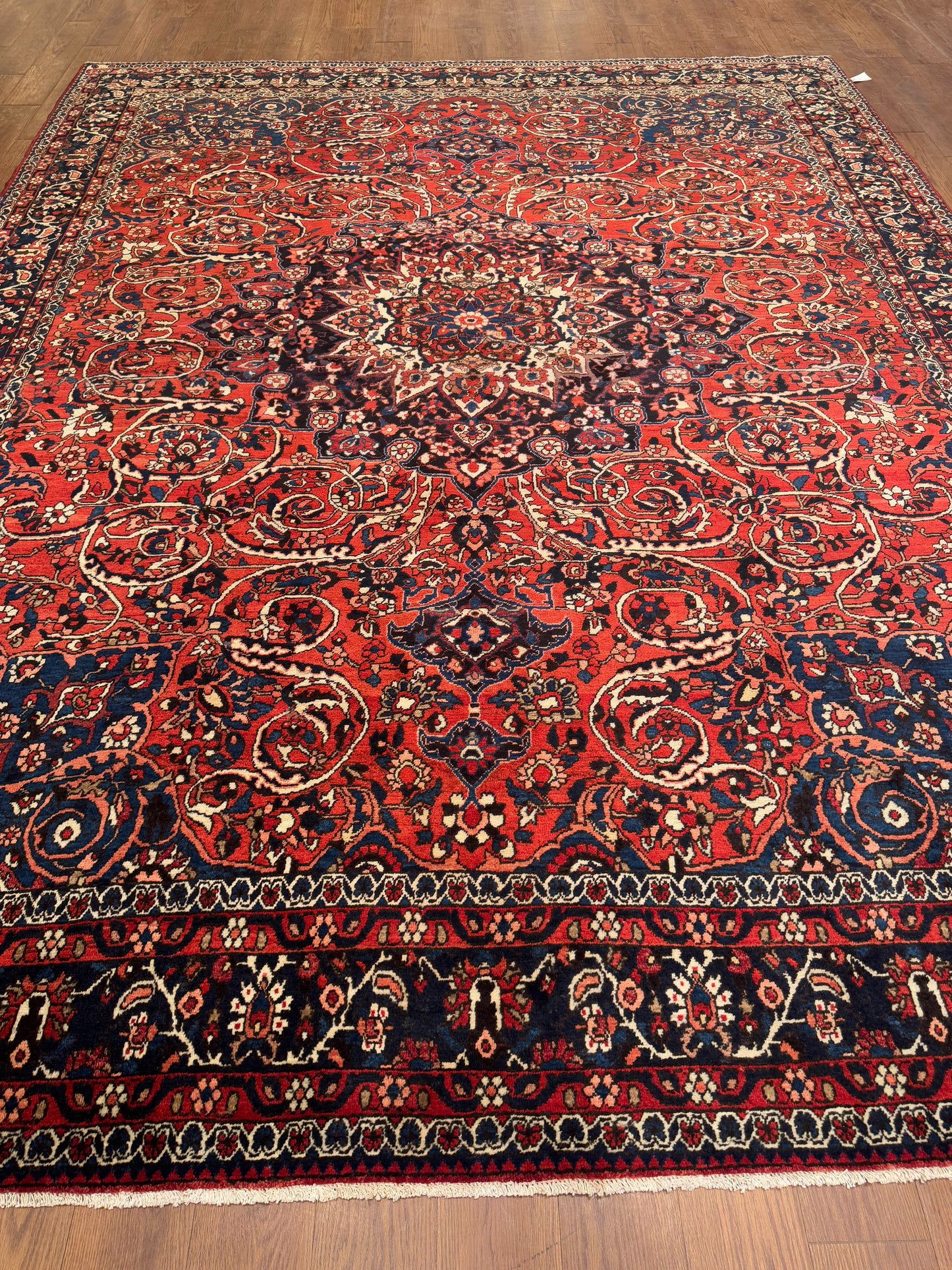 Kashan NJ7140 - 9.10 x 12.8