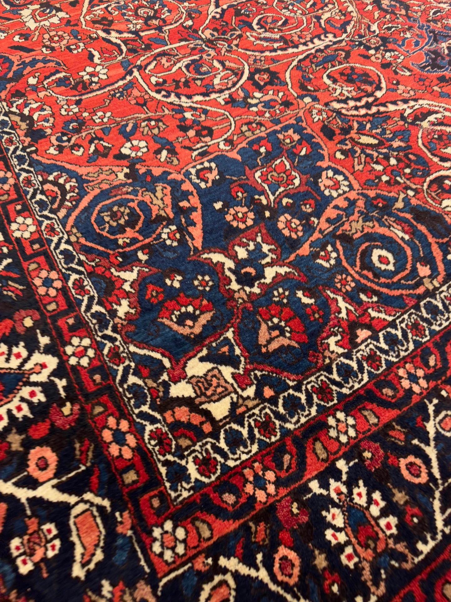 Kashan NJ7140 - 9.10 x 12.8